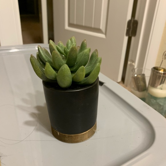 Potted faux plant